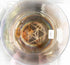 8" D-20 Divine Kryon Crystal Tones® Alchemy Crystal Singing Bowl